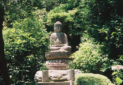 Kyoto, 2026