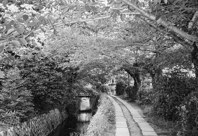 Kyoto, 2026